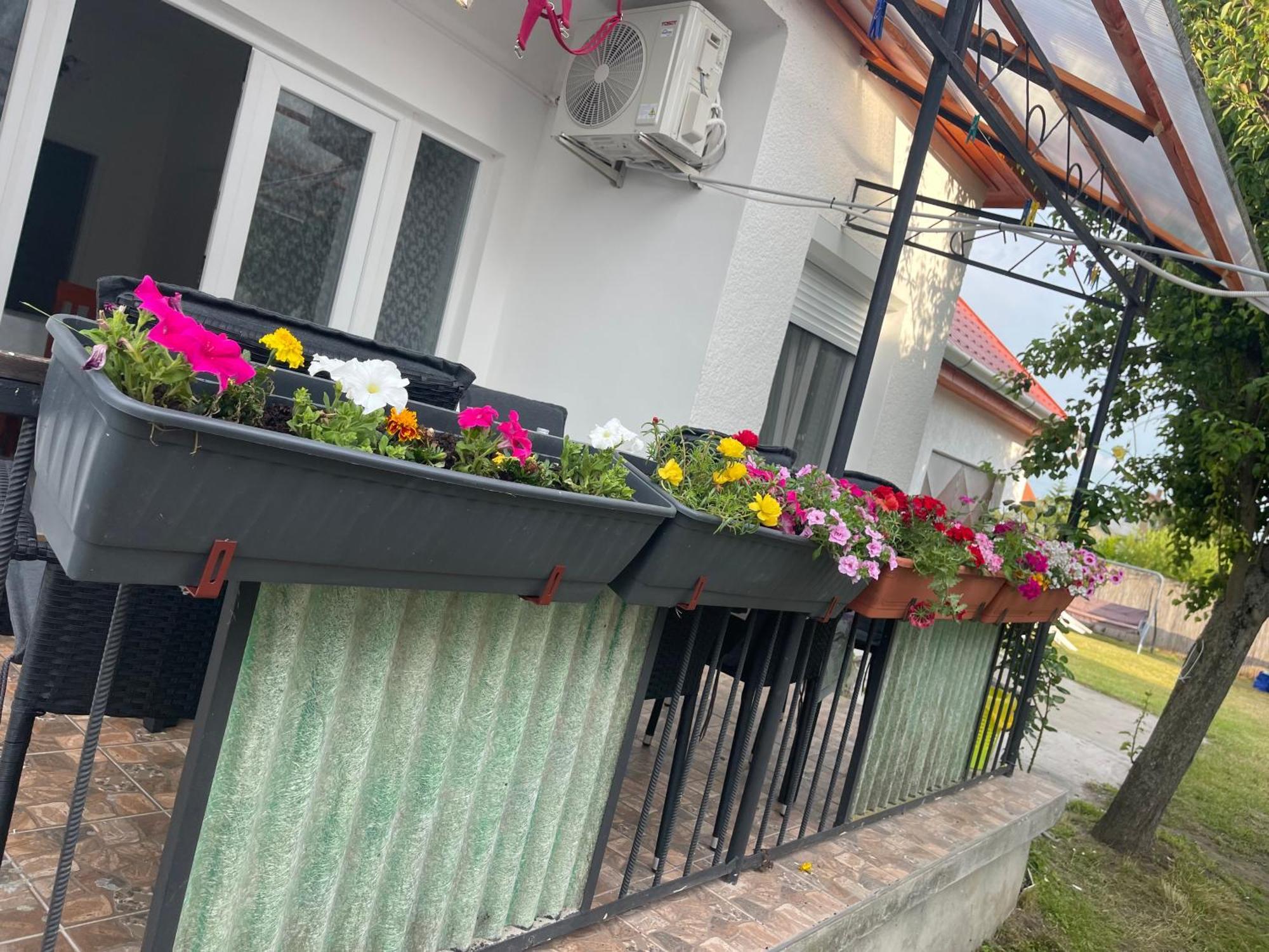 Valentina Apartman Balatonmariafurdo Exterior photo